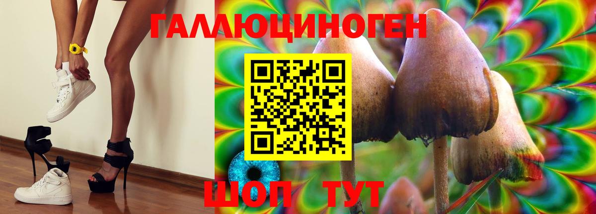 Галлюциногенные грибы мицелий  наркота  Анжеро-Судженск  Псилоцибиновые грибы Cubensis  Вход с VPN 